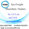 Shenzhen poort zeevracht verzending naar Nantes